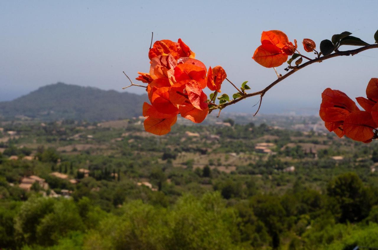El Cel Son Servera (Mallorca) Exterior foto